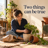 Illustration of a plant being repotted, representing acceptance and change
